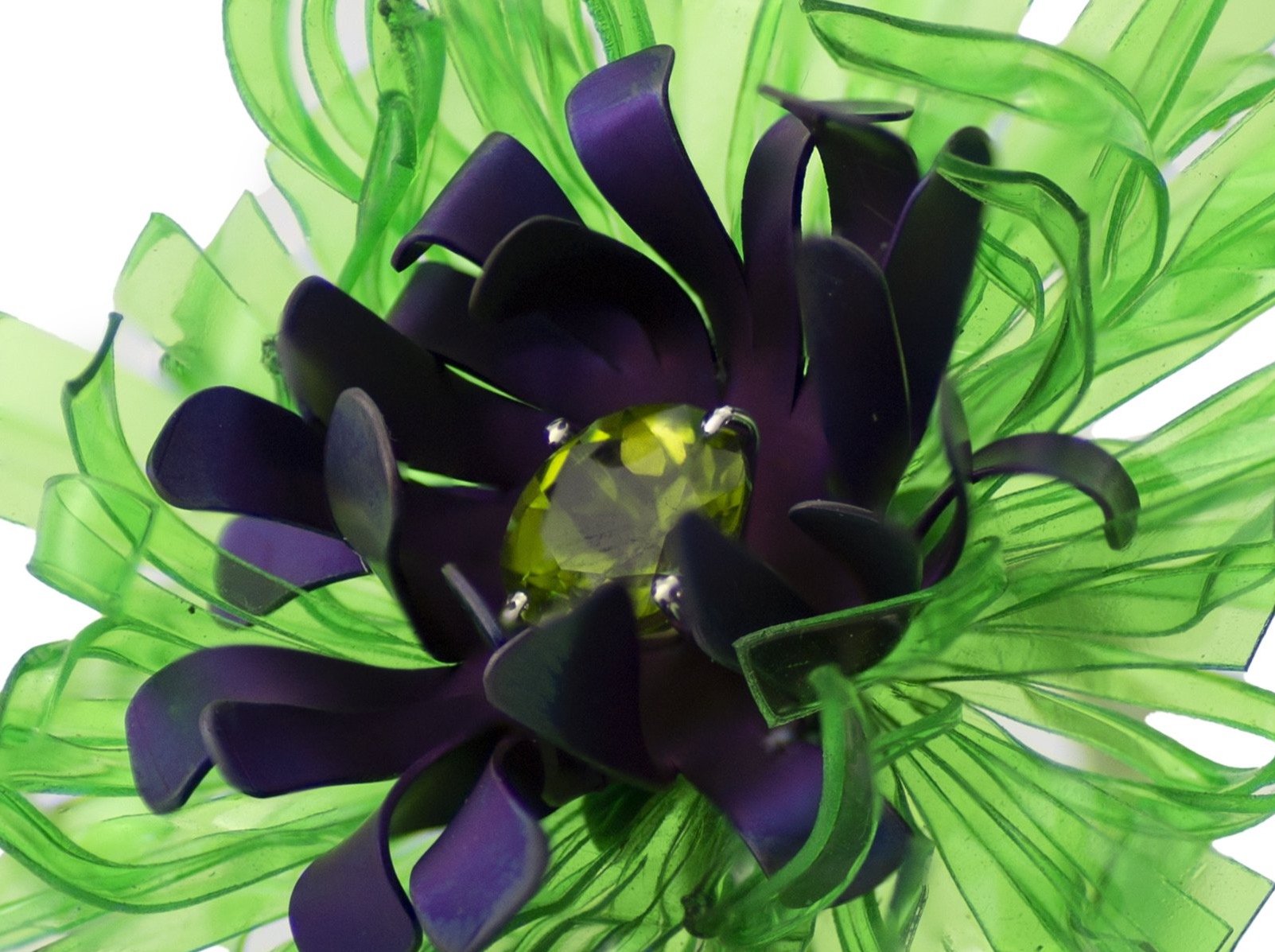 Zoom